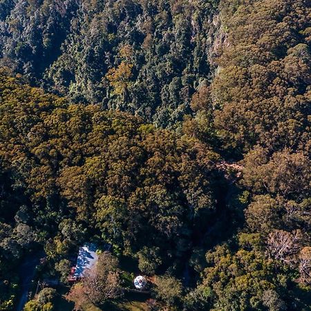 מלון ספרינגברוק Purling Brook Falls Gwongorella מראה חיצוני תמונה