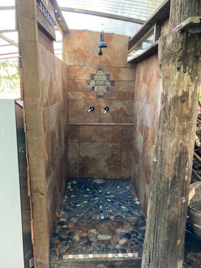 ספרינגברוק Purling Brook Falls Gwongorella מראה חיצוני תמונה