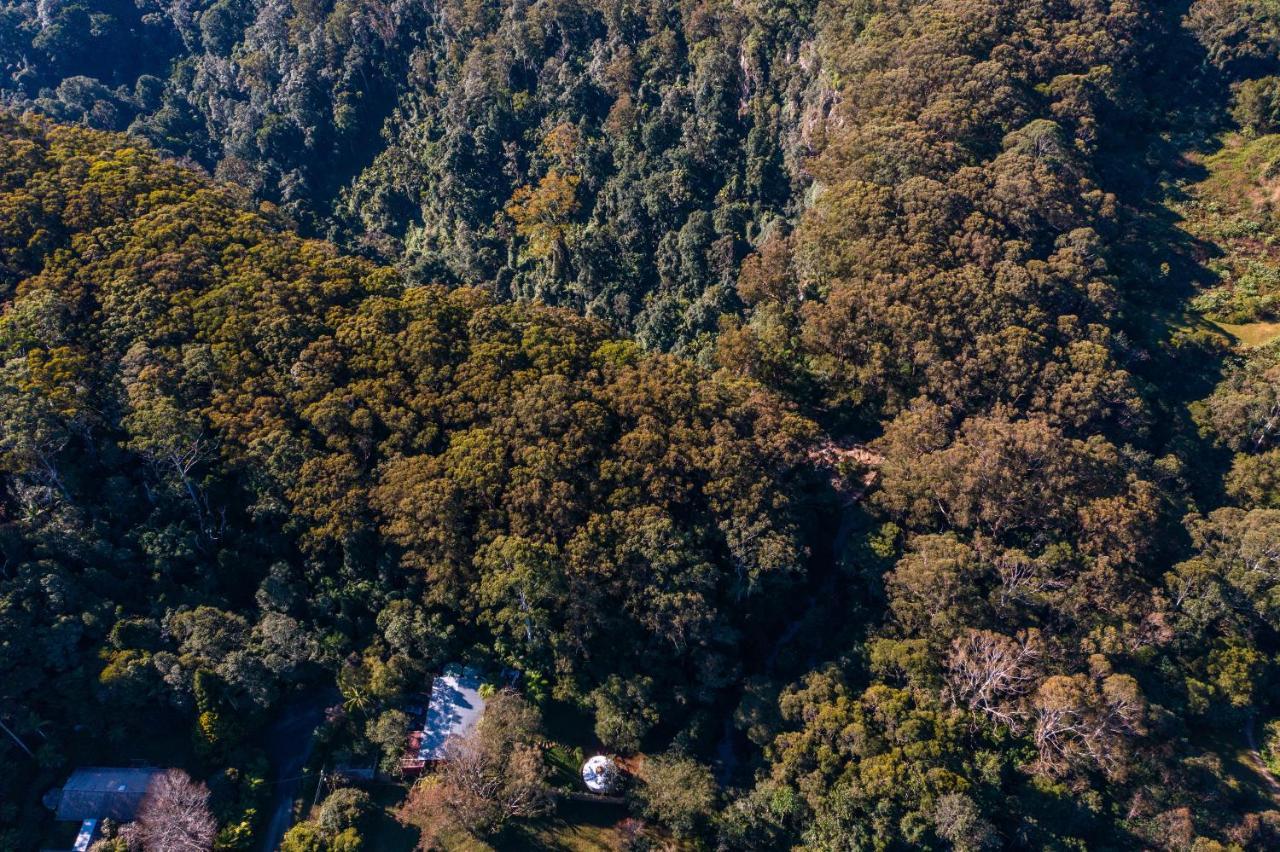 מלון ספרינגברוק Purling Brook Falls Gwongorella מראה חיצוני תמונה