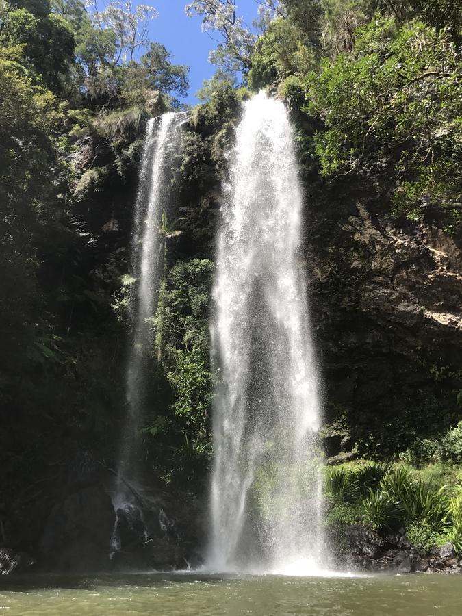 מלון ספרינגברוק Purling Brook Falls Gwongorella מראה חיצוני תמונה