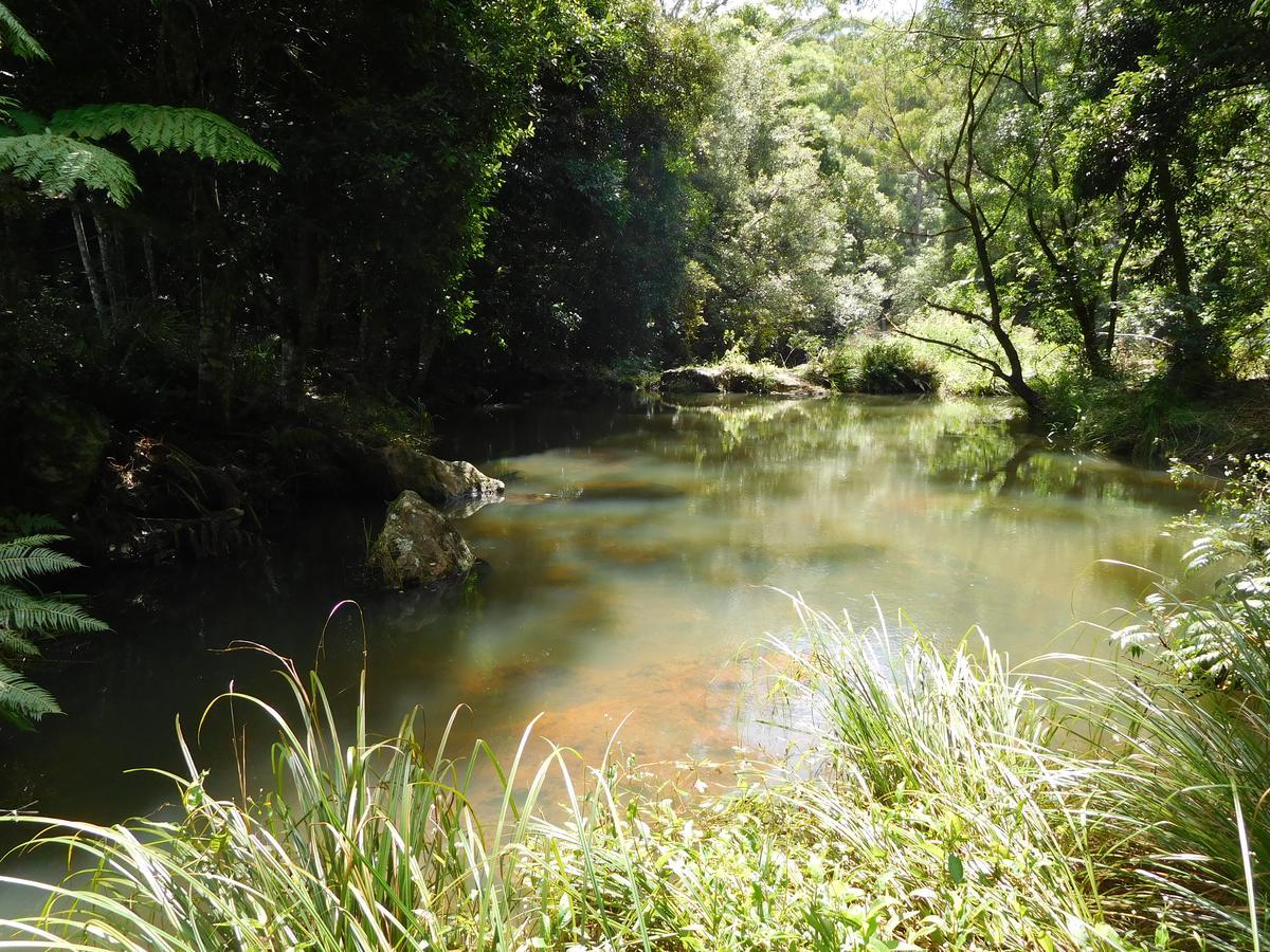 מלון ספרינגברוק Purling Brook Falls Gwongorella מראה חיצוני תמונה