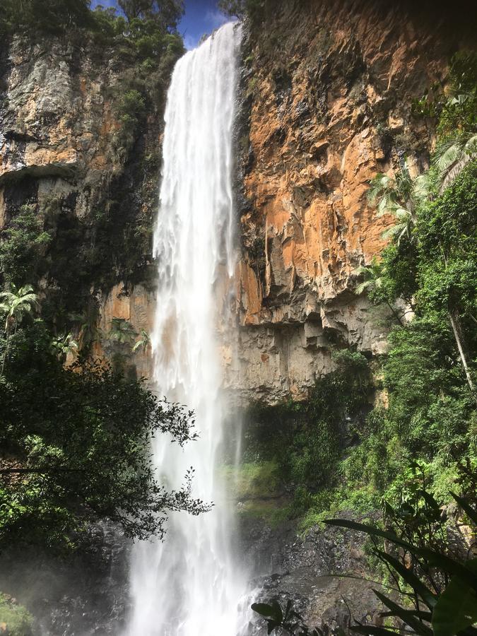 מלון ספרינגברוק Purling Brook Falls Gwongorella מראה חיצוני תמונה