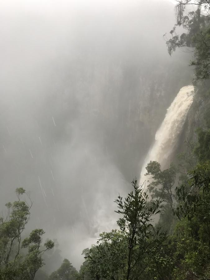 מלון ספרינגברוק Purling Brook Falls Gwongorella מראה חיצוני תמונה